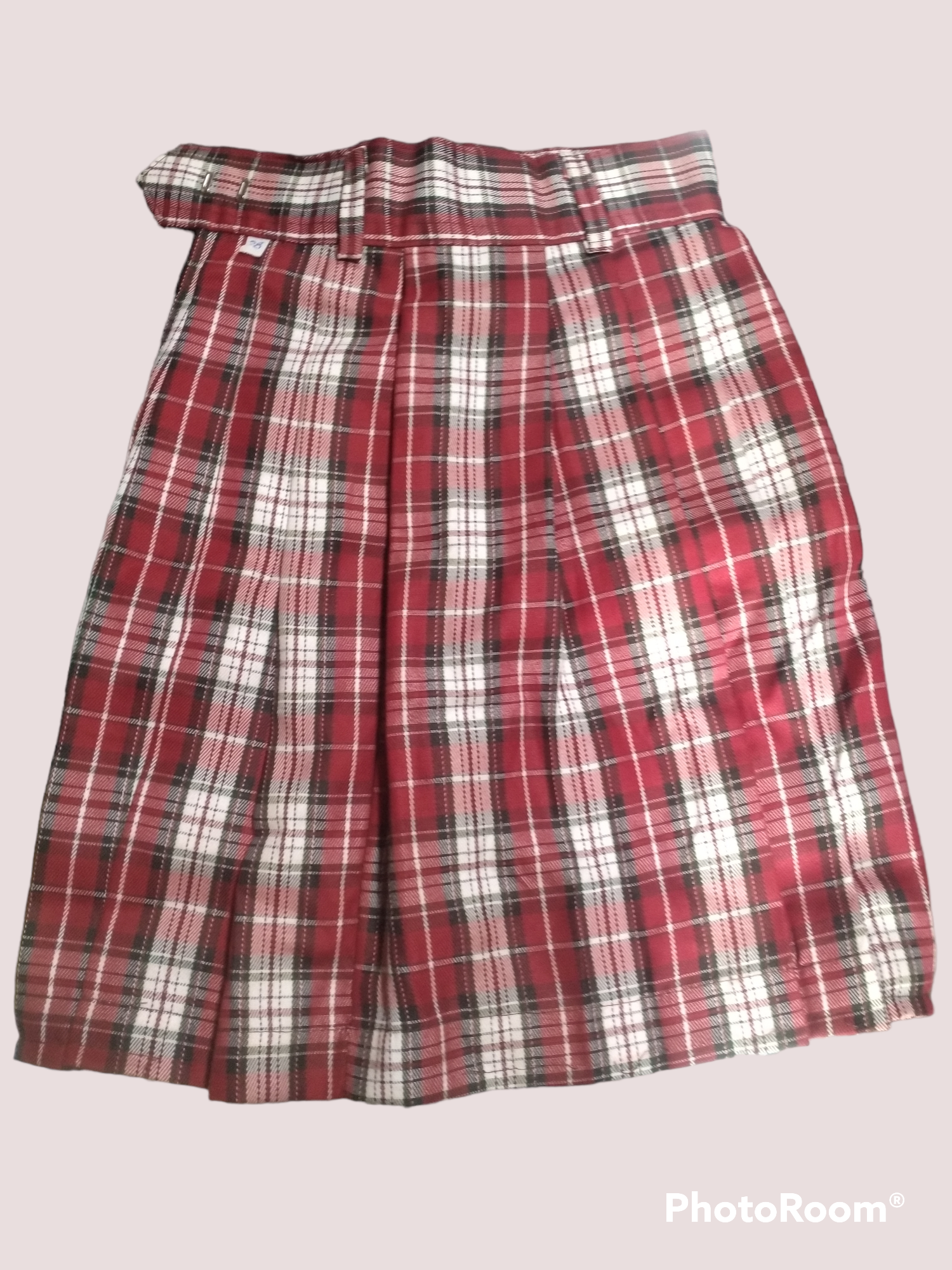 SKIRT 379